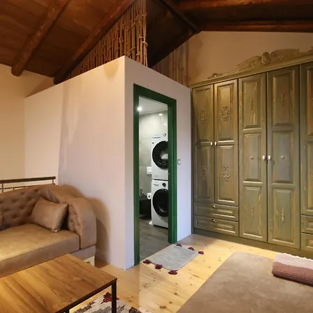 Jolie